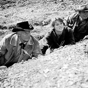 Fotoğraf Mariette Hartley