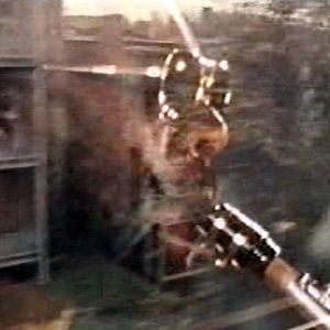 Fotoğraf Mel Stuart