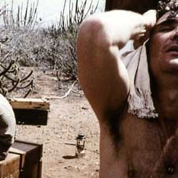 Fotoğraf Marcelo Gomes