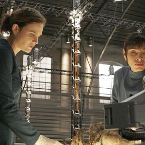 Fotoğraf Tamara Taylor