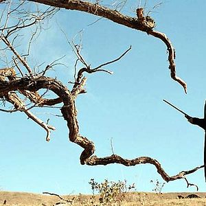 Fotoğraf Gel Git Ülkesi