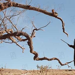 Fotoğraf Janet McTeer