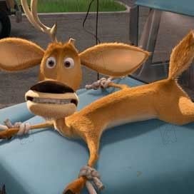 Fotoğraf Jill Culton