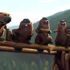 Fotoğraf Jill Culton