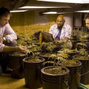 Fotoğraf Romany Malco