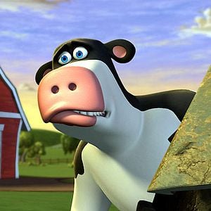 Fotoğraf Steve Oedekerk