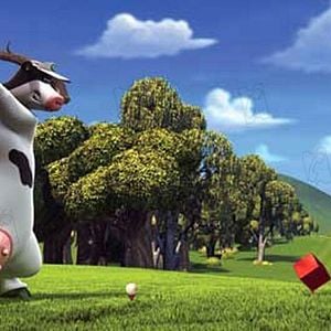 Fotoğraf Steve Oedekerk