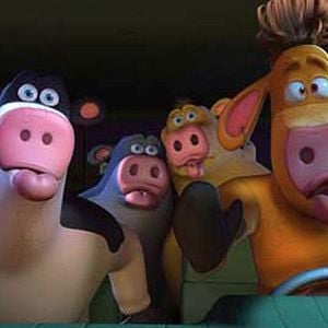 Fotoğraf Parti Hayvanları