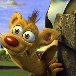 Fotoğraf Steve Oedekerk