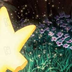 Fotoğraf Piet De Rycker