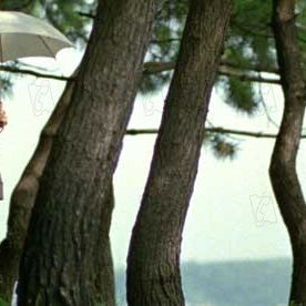 Fotoğraf Tony Takitani