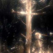 Fotoğraf Stephen Quay