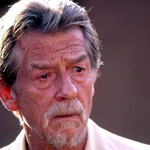 Fotoğraf Shooting Dogs