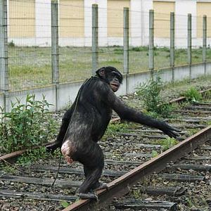 Fotoğraf Jean-Pierre Limosin