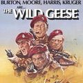 Fotoğraf The Wild Geese