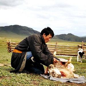 Fotoğraf Byambasuren Davaa