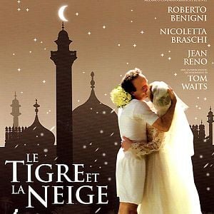 Fotoğraf Kar ve Kaplan