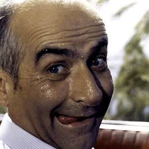 Fotoğraf Daldaki Otomobil