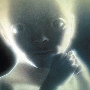 Fotoğraf 2001: Uzay Macerası