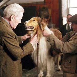 Fotoğraf Peter O'Toole