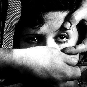 Fotoğraf Endülüs Köpeği