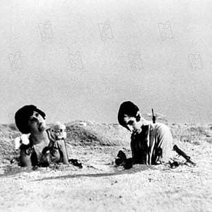 Fotoğraf Endülüs Köpeği