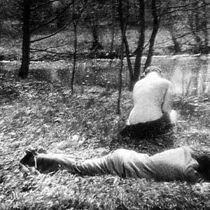 Fotoğraf Endülüs Köpeği