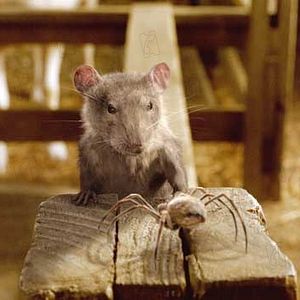 Fotoğraf Gary Winick