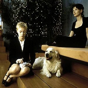 Fotoğraf New York’ta Bir Çılgın