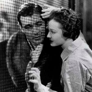 Fotoğraf Gary Cooper