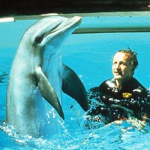 Fotoğraf Yunusların Günü