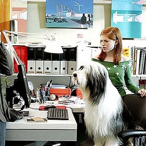 Fotoğraf Spencer Breslin