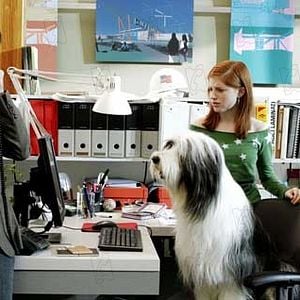 Fotoğraf Spencer Breslin