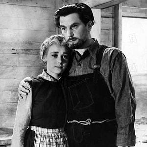 Fotoğraf Michael Powell