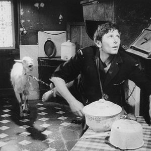 Fotoğraf Roman Polanski