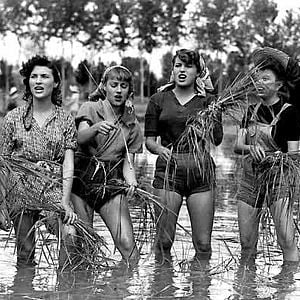 Fotoğraf Silvana Mangano