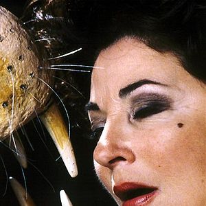 Fotoğraf Michel Piccoli