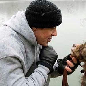 Fotoğraf Sylvester Stallone