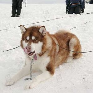 Fotoğraf Frank Marshall