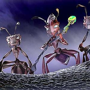 Fotoğraf John A. Davis