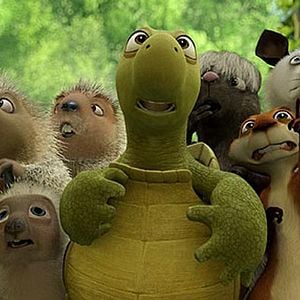 Fotoğraf Tim Johnson