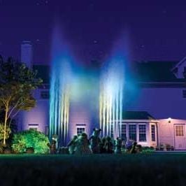 Fotoğraf Tim Johnson