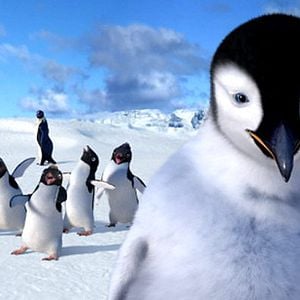 Fotoğraf Neşeli Ayaklar