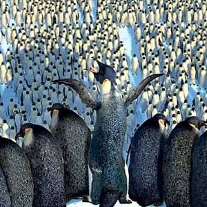 Fotoğraf Neşeli Ayaklar