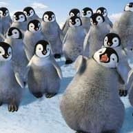 Fotoğraf George Miller