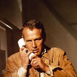 Fotoğraf Irwin Allen