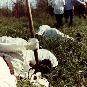 Fotoğraf Crazies, The