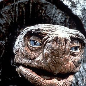 Fotoğraf Wolfgang Petersen