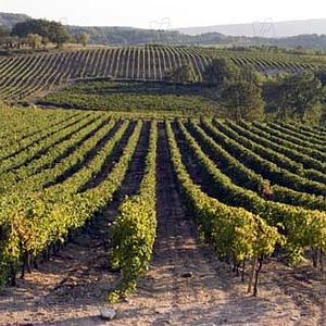 Fotoğraf Ridley Scott