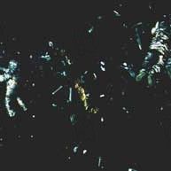 Fotoğraf Danny Boyle